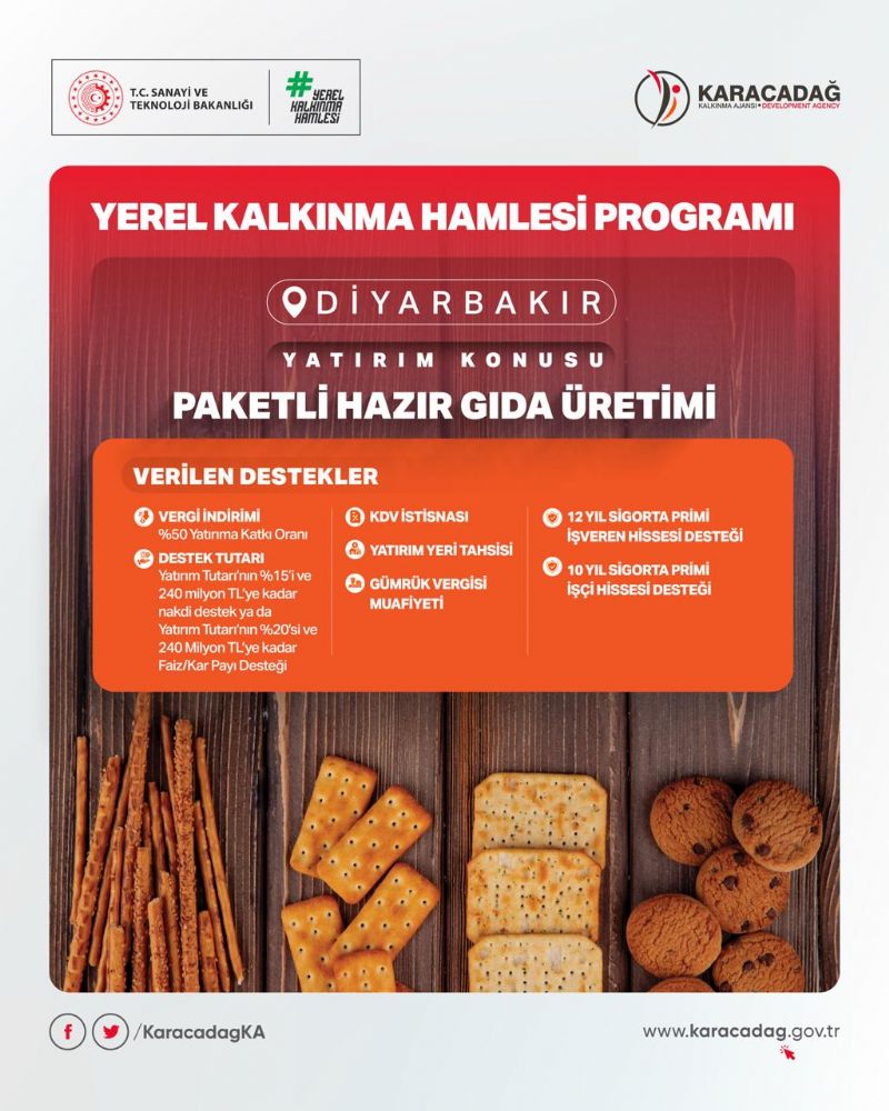 Yerel Kalkınma Hamlesi