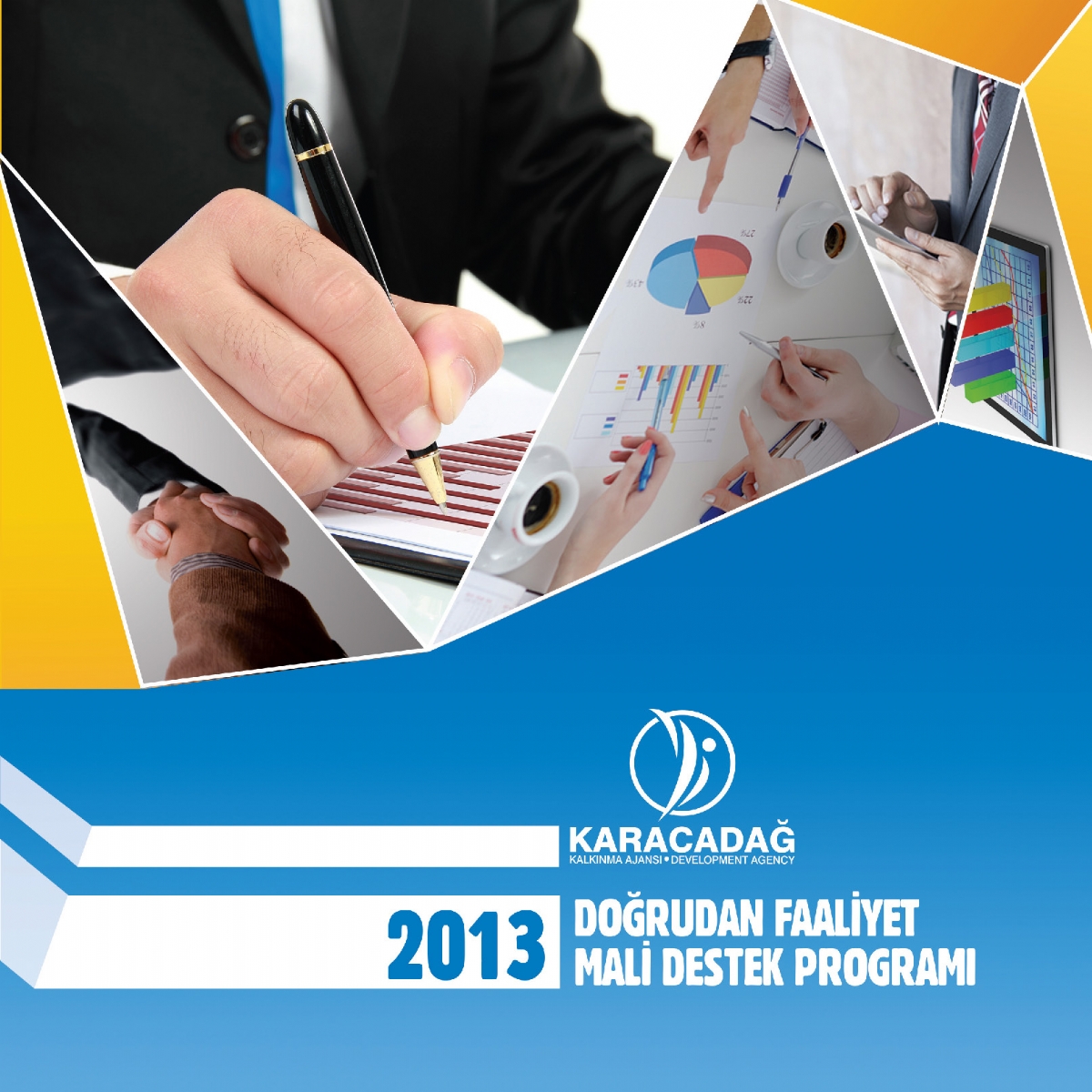 2013 Yılı Doğrudan Faaliyet Mali Destek Programı 2013 Yılı Doğrudan Faaliyet Mali Destek Programı