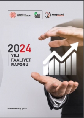 2024 Yılı Faaliyet Raporu