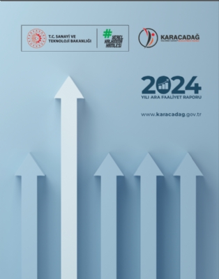 2024 Yılı Ara Faaliyet Raporu