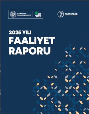 2025 Yılı Faaliyet Raporu