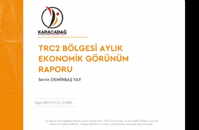 (Sayı 112) 2020 Eylül Ayı Ekonomik Görünüm Raporu