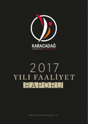 2017 Yılı Faaliyet Raporu