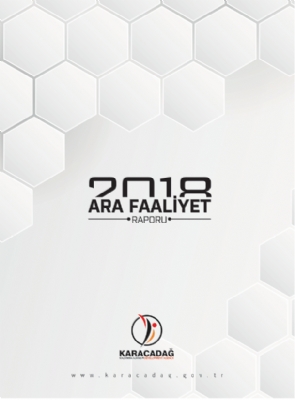 2018 Yılı Ara Faaliyet Raporu