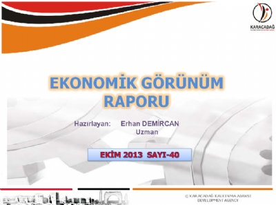 (Sayı 40) 2013 Ekim Ayı Aylık Ekonomik Görünüm Raporu