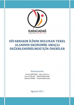 Diyarbakır'da Bulunan TEKEL Alanının Ekonomik Amaçlı Değerlendirilmesi İçin Öneriler