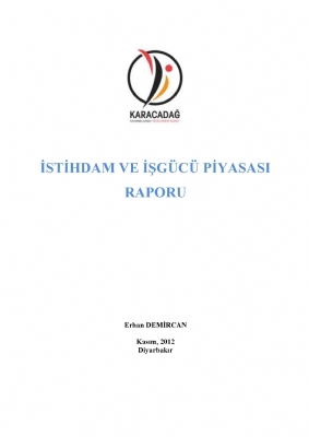İstihdam ve İşgücü Piyasası Raporu