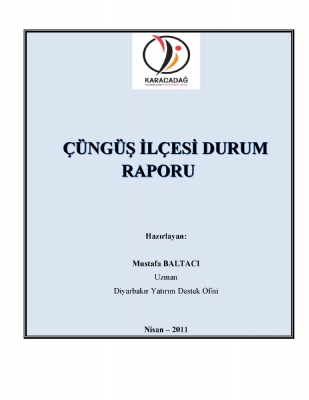 Çüngüş İlçe Durum Raporu