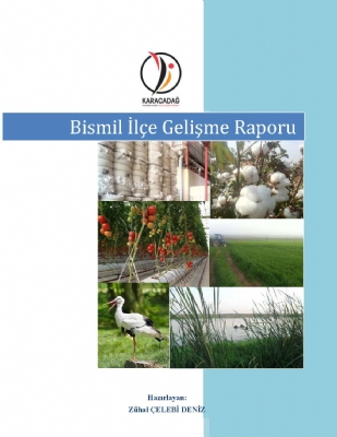 Bismil İlçesi Gelişme Raporu