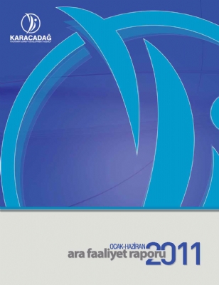 2011 Yılı Ara Faaliyet Raporu