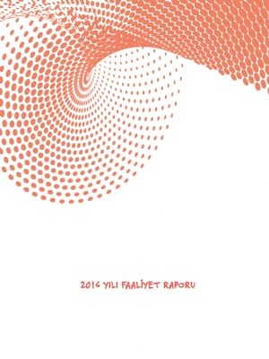 2016 Yılı Faaliyet Raporu