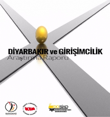 Diyarbakır ve Girişimcilik Araştırma Raporu