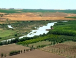 Diyarbakır
