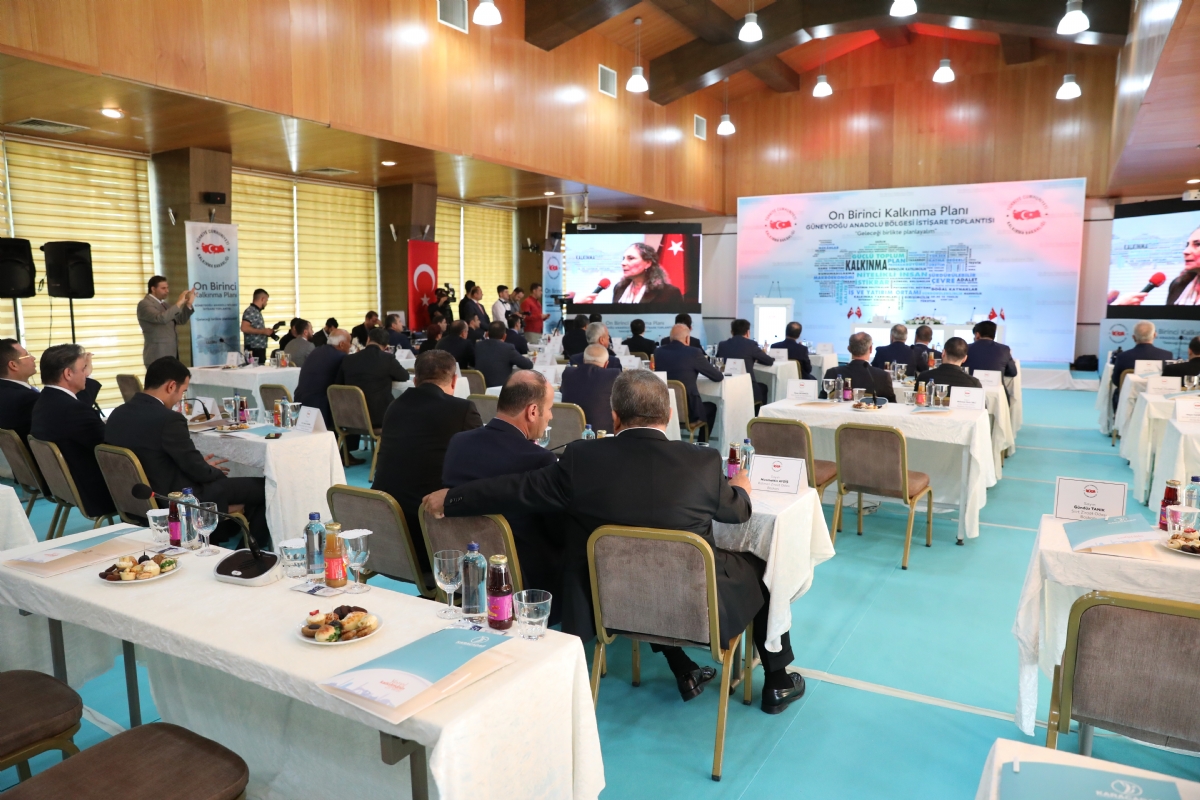 On Birinci Kalkınma Planı İstişare Toplantısı Diyarbakır’da Düzenlendi