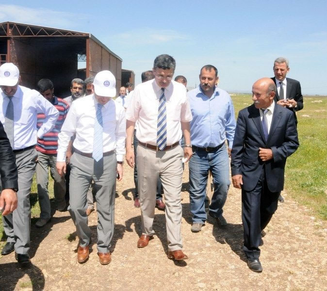Tarlalardaki Bazalt Taşlar, Şimdi Şanlıurfa Kaldırımlarını Süslüyor