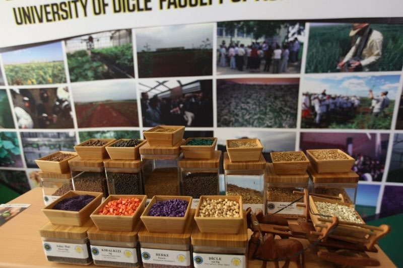 Dünya Tohumculuk Sektörü Diyarbakır'da Buluştu