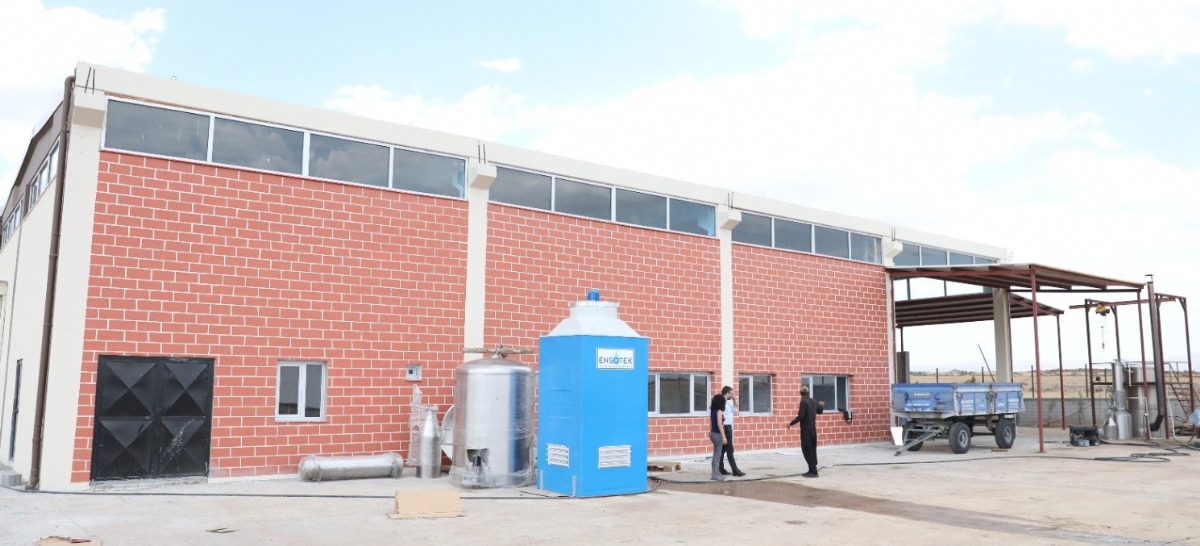 Genç Girişimciler, SEECO Projesi ile İşlerini Büyütüyor