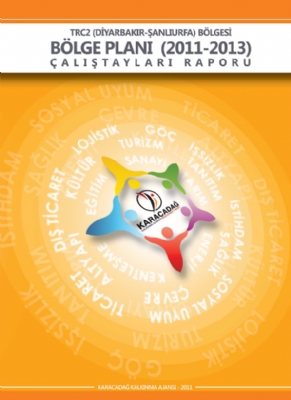 2011-2013 Çalıştay Raporu