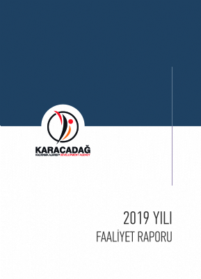 2019 Yılı Faaliyet Raporu
