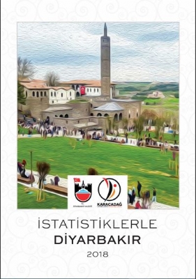 İstatistiklerle Diyarbakır (2018)