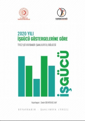 TRC2 ( Diyarbakır-Şanlıurfa ) Bölgesi 2020 Yılı İşgücü Göstergeleri