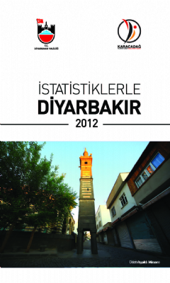 İstatistiklerle Diyarbakır (2012)