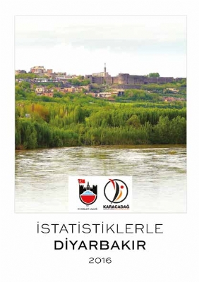 İstatistiklerle Diyarbakır (2016)