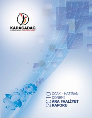 2010 Yılı Ara Faaliyet Raporu