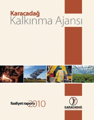 2010 Yılı Faaliyet Raporu