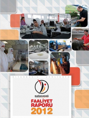 2012 Yılı Faaliyet Raporu