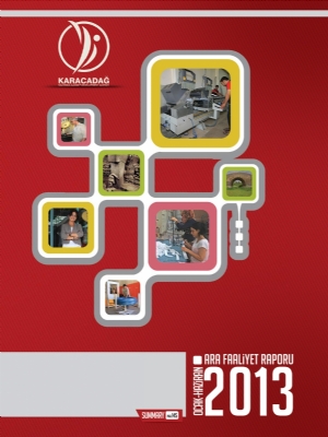 2013 Yılı Ara Faaliyet Raporu